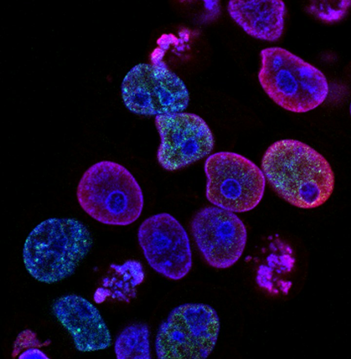 最新のエビデンスを手元に